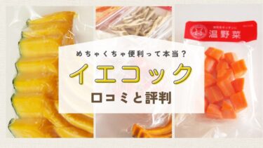 イエコックの口コミと評判を調査！カット野菜の品質を徹底レビュー